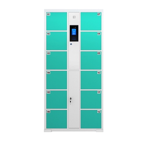 12門人臉識別存包柜